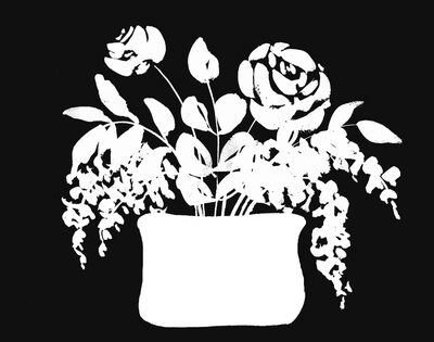 Image Not Available